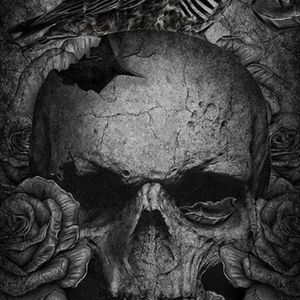 Meet your Posher, Colleen